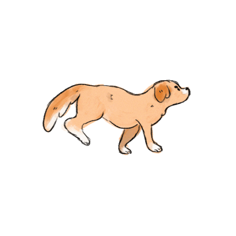 Animated veterinary dog